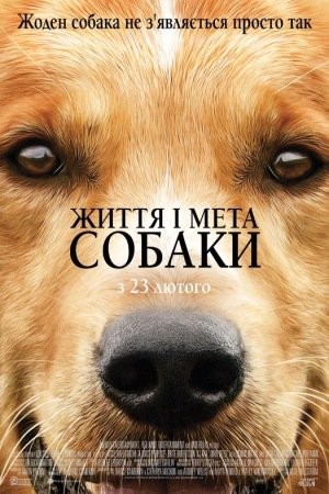 Фільм «Життя і мета собаки» (2017) дивитись онлайн українською